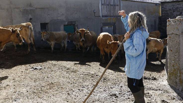 Mujer Rural | Los proyectos de Fademur en Albacete