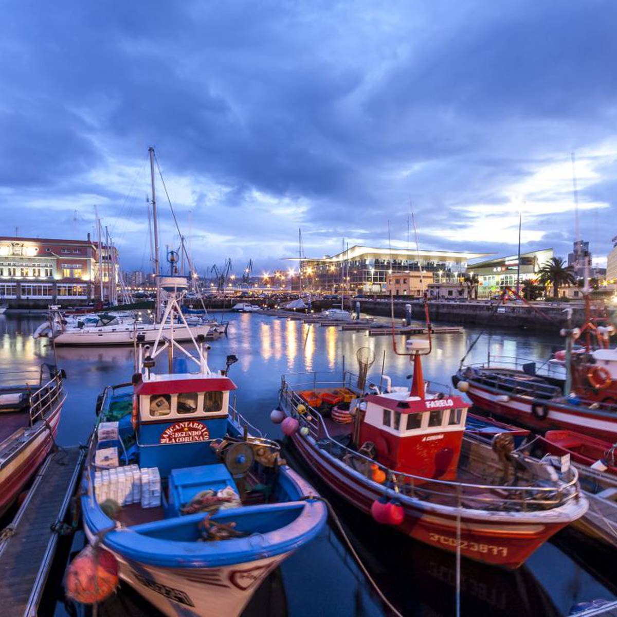 Ejecutable Reducción de precios volverse loco Pescado fresco del puerto a casa | Actualidad | Cadena SER