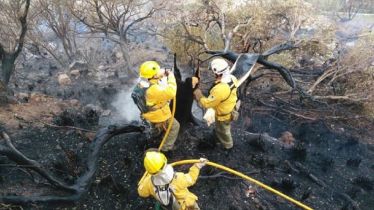 Este lunes arranca la temporada de peligro alto de incendios en las Pitiusas