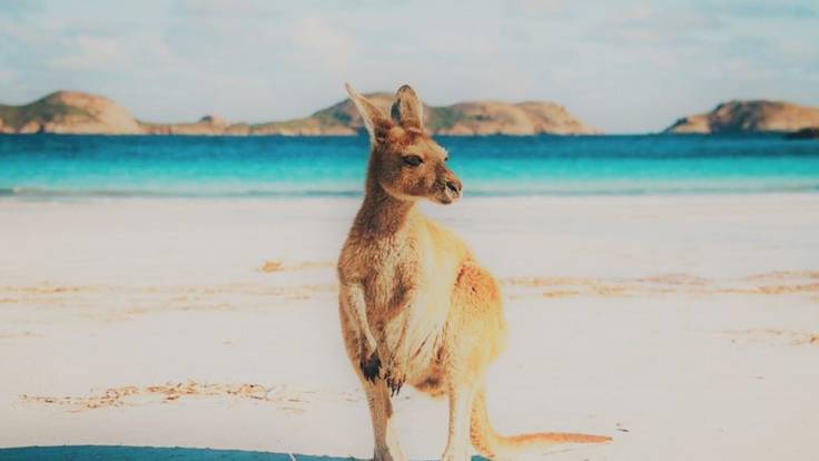 ¿Te vienes a Australia?