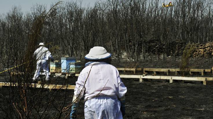 El conselleiro de Medio Rural destaca que el cambio del viento es lo que más entorpece ahora los trabajos para sofocar los incendios en Galicia