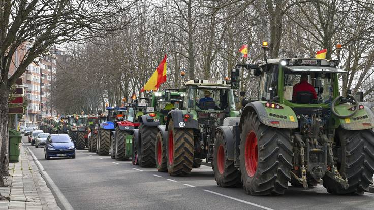 ¿Quién está detrás de las tractoradas y por qué protestan?