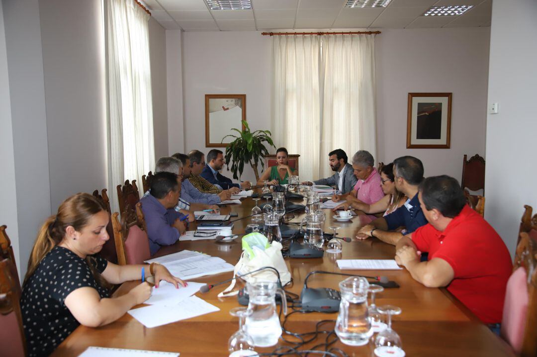 Imagen de archivo de una de las asambleas del Consorcio Insular del Agua previa a la pandemia.