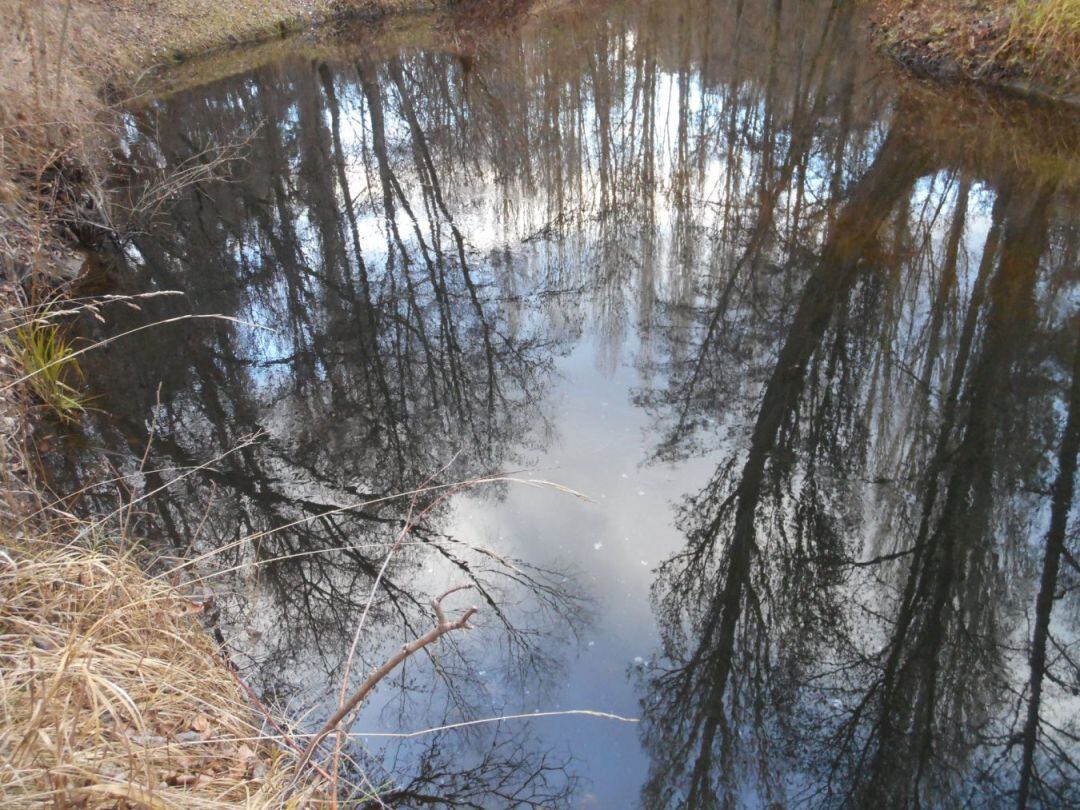 Estado del agua en un punto del río Cega el pasado domingo