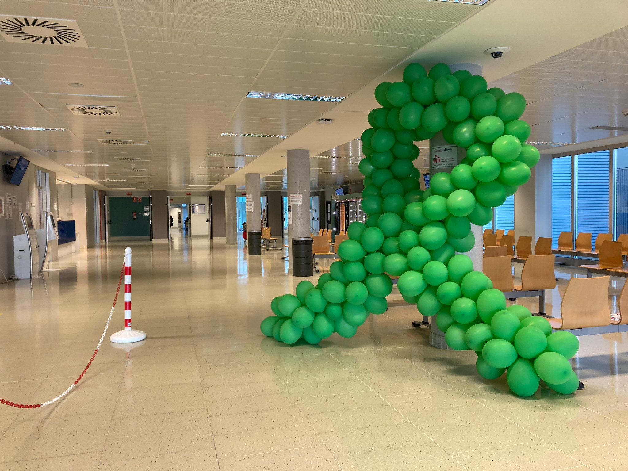 Lazo verde en el Día Mundial contra el Cáncer en el hospital de Gandia