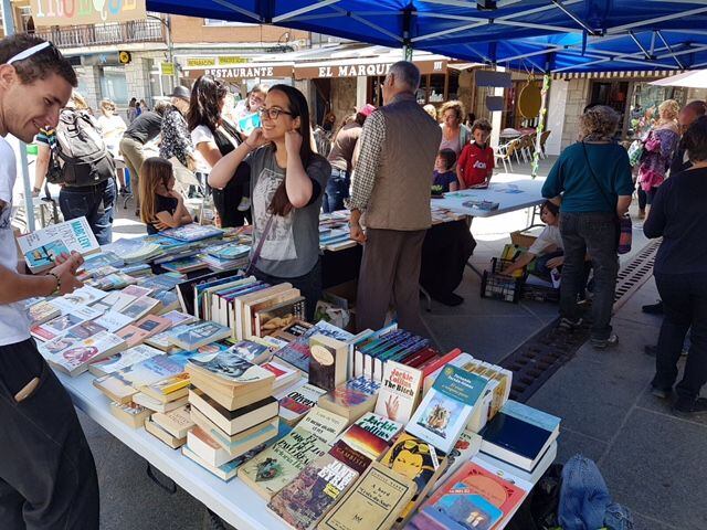 Feria del libro en Soto del Real