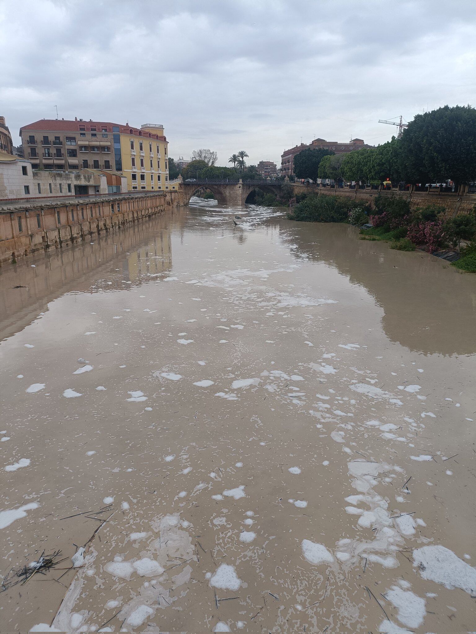 Espuma en el Rio Segura a su paso por Murcia