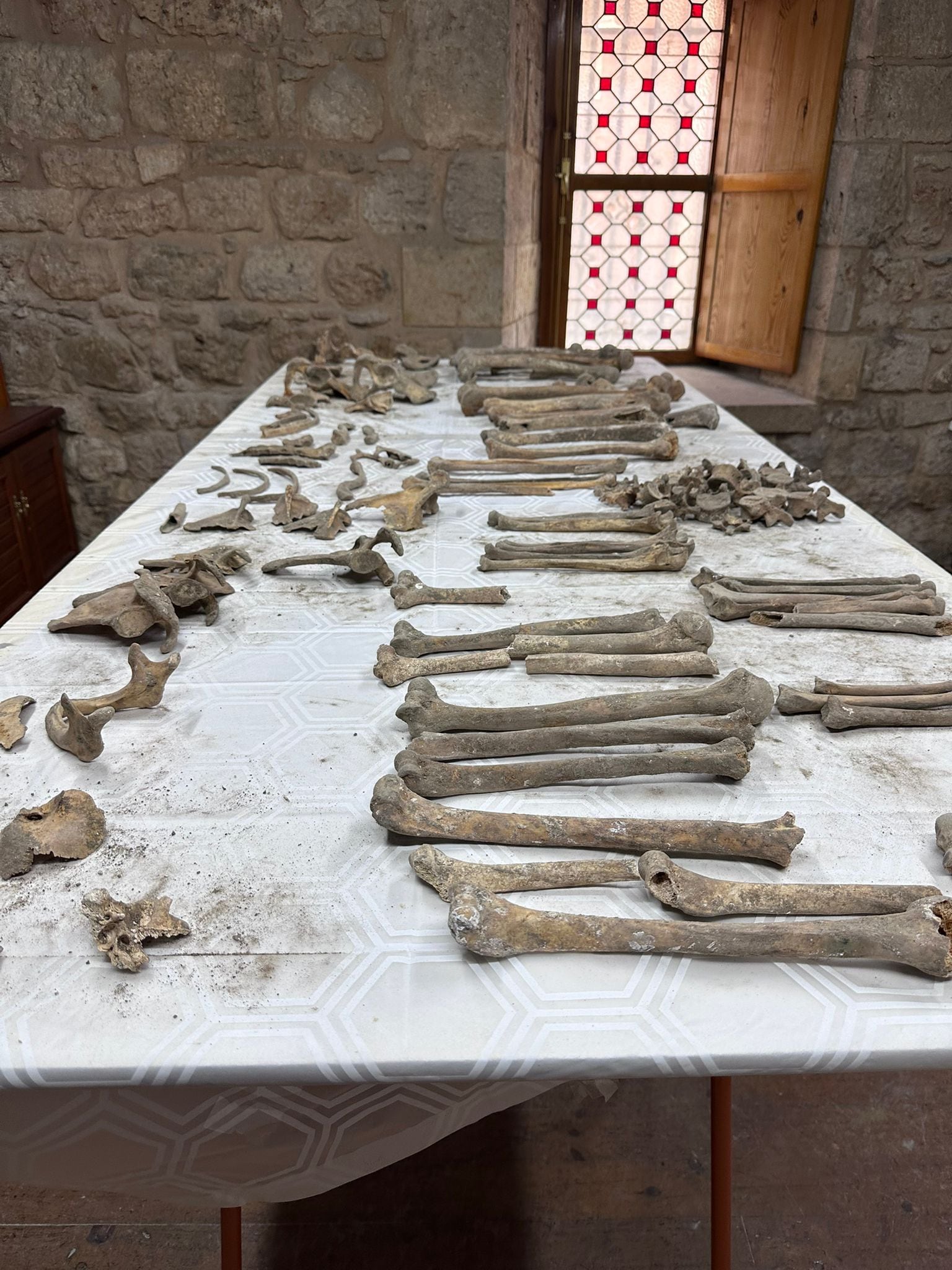 Restos que se están estudiando