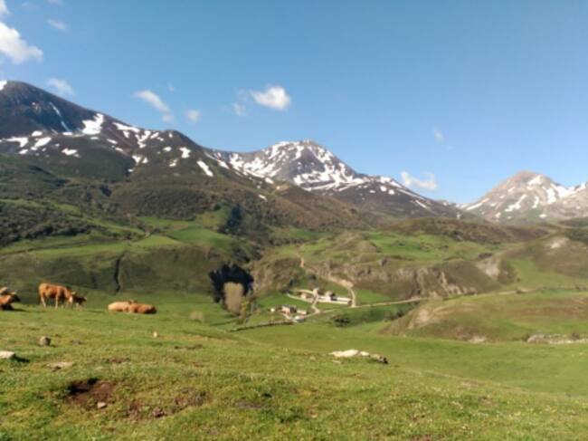 Camín Real de Torrestío