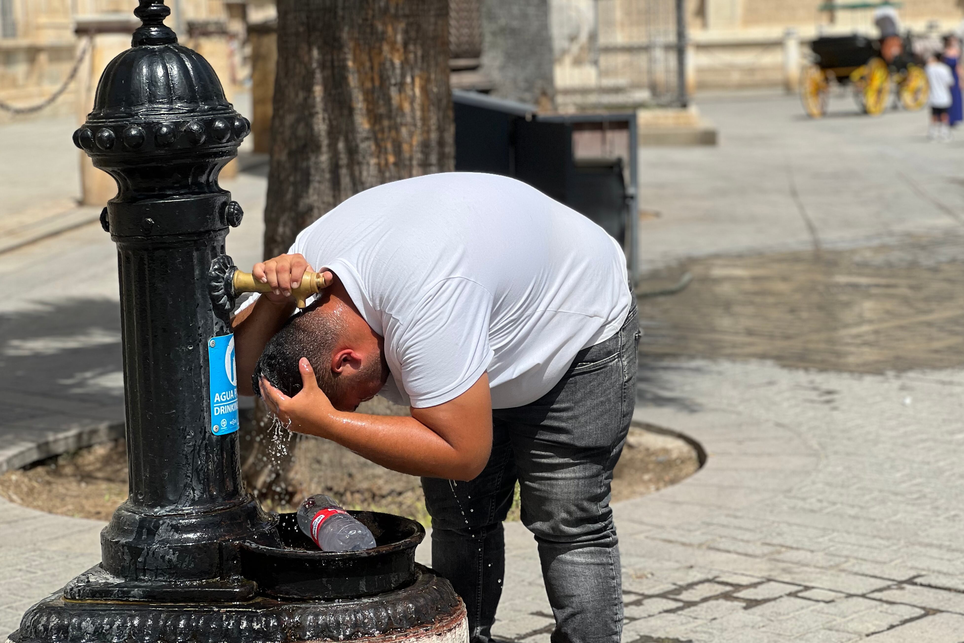 SEVILLA, 05/08/2025.- Un hombre se refresca en una fuente en Sevilla este martes. Las temperaturas máximas registradas el segundo día de la ola de calor en España se repartieron el lunes por el sur de Galicia y Valles del Guadalquivir, Guadiana y Tajo, con valores que se aproximaron a los 43 grados, según ha informado este martes la Agencia Estatal de Meteorología (Aemet). EFE/Roberto Ruiz Oliva