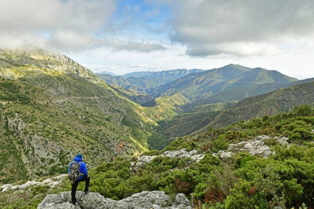 Paisaje del Parque Nacional de la Sierra de las Nieves