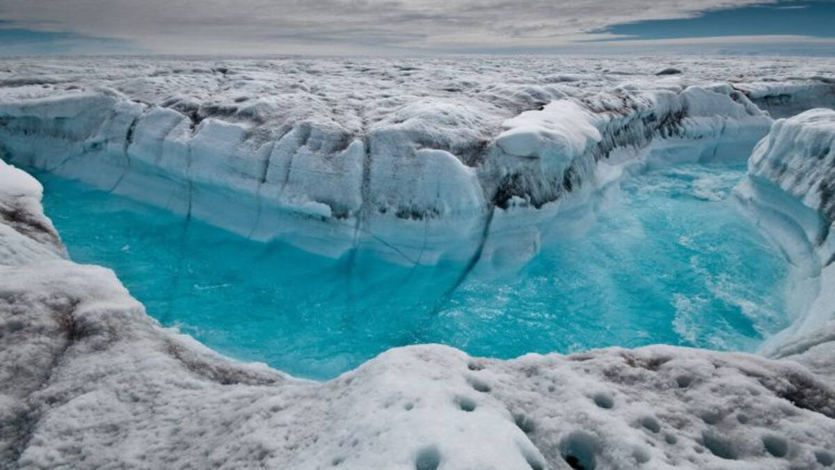 'A qui representen els governants que van a les cimeres contra el canvi climàtic?'