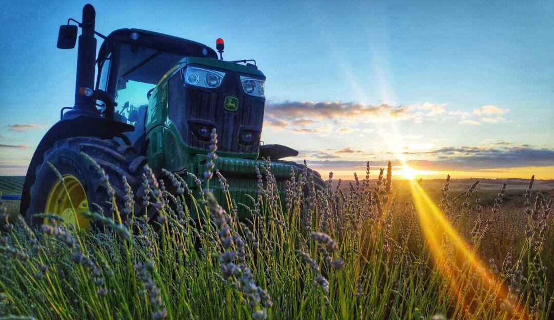 El tractor de Rodrigo Carrillo en sus campos de lavanda de Villares del Saz (Cuenca).