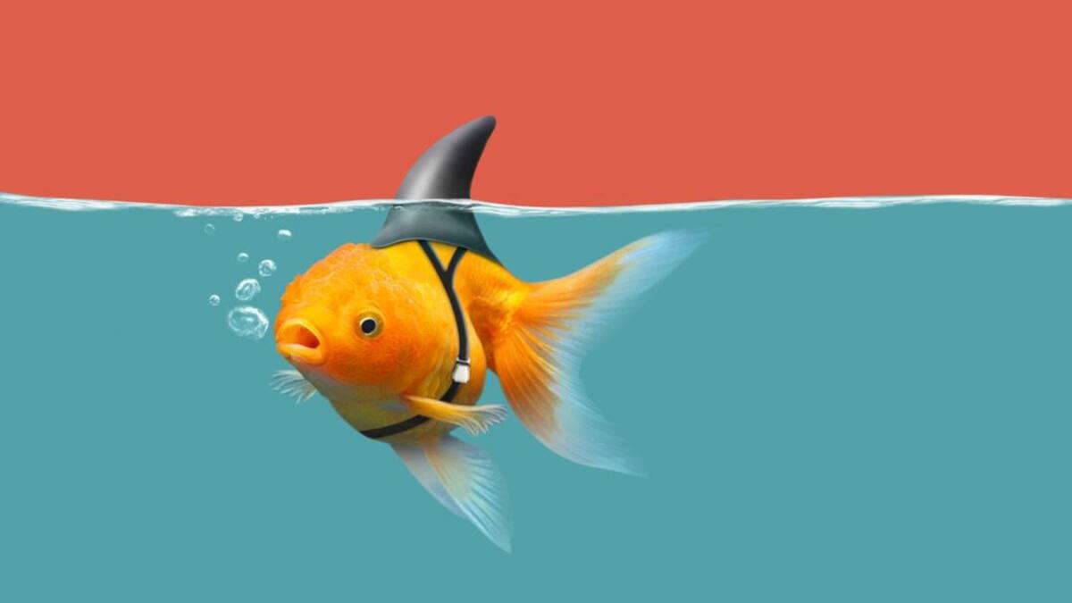 José Rosell, socio director de S2 Grupo