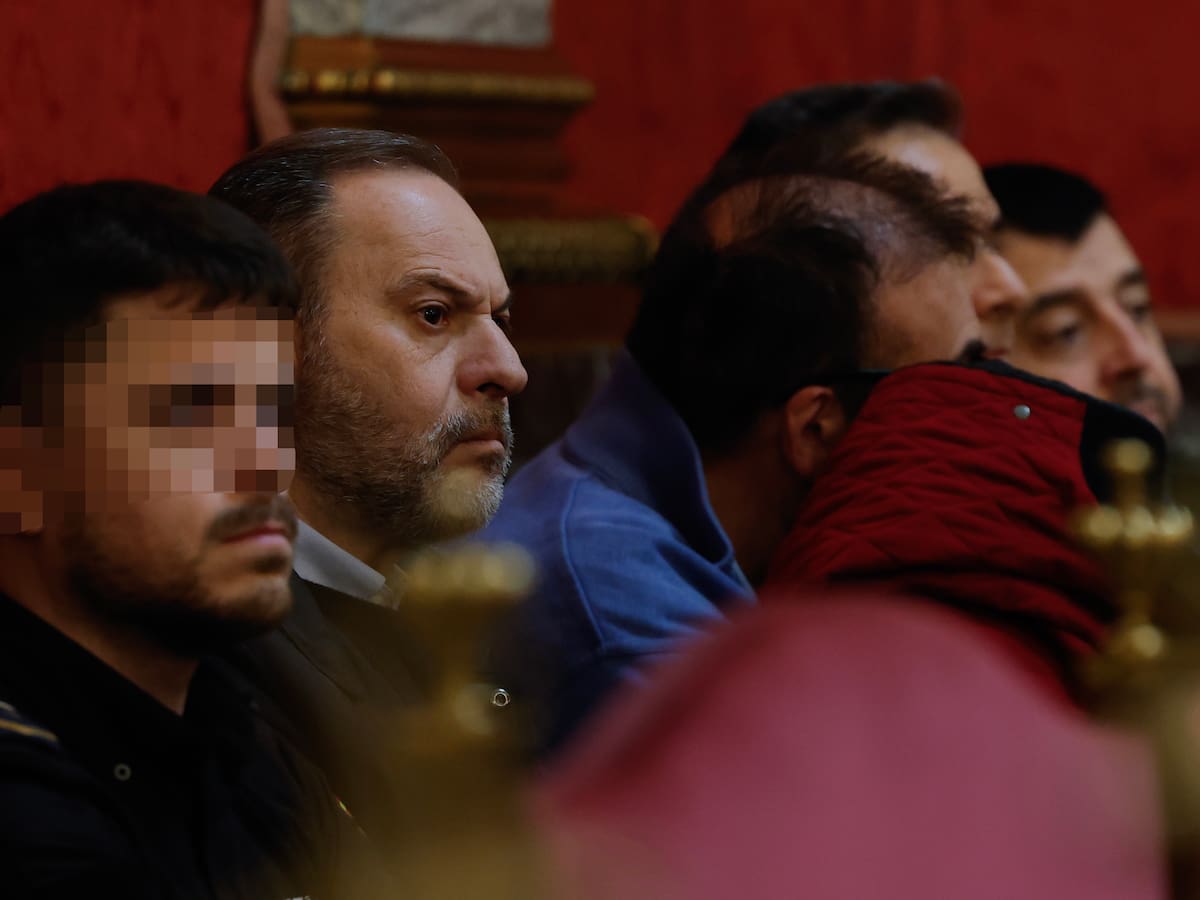 Pedraz envía al juez del 'caso Koldo' las declaraciones de la empresaria que asegura haber llevado dinero a Ferraz