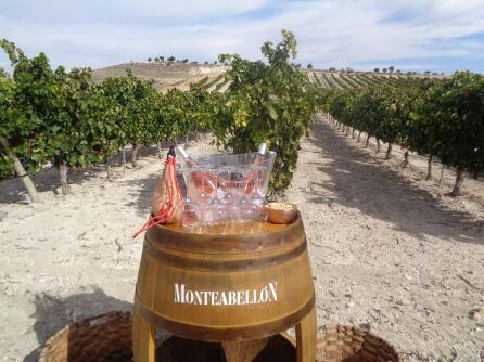 La bodega engalanó sus viñas para recibir esta visita