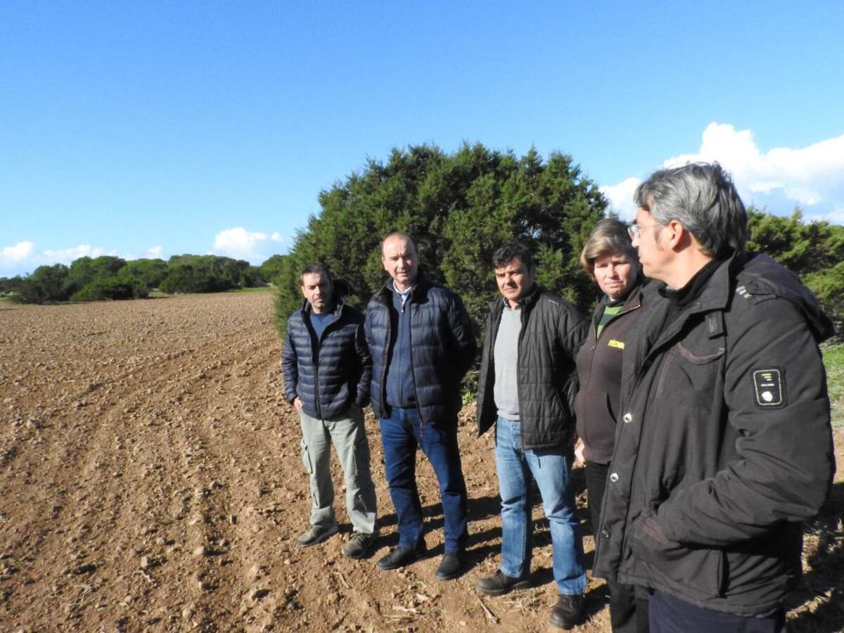 La finca de Can Marroig acogerá una prueba piloto de plantación de hierbas aromáticas