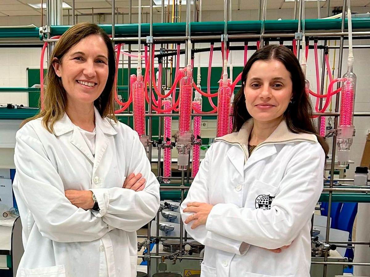 Proyecto en Jaén para convertir los residuos del olivar en materiales 3D