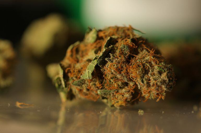 Marijuana (cannabis) is arranged for a photograph inside the Evergreen Apothecary in Denver, Colorado, U.S., on Thursday, Jan. 9, 2014. Colorado has just legalized the commercial production, sale, and recreational use of marijuana, while Washington State will begin its own pot liberalization initiative at the end of February. On Jan. 8, New York Governor Andrew Cuomo said his state would join 20 others and the District of Columbia in allowing the drug for medical purposes. Photographer: Matthew Staver/Bloomberg