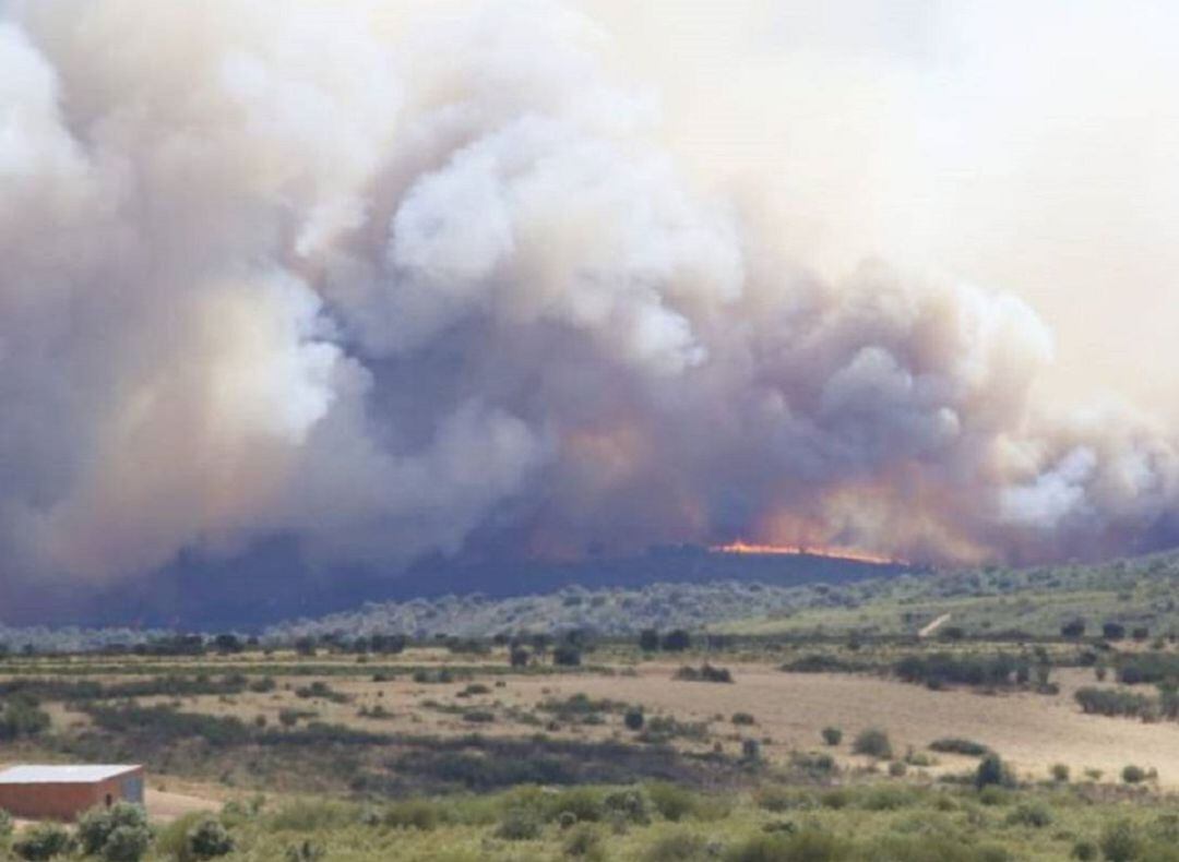 Imagen de un incendio forestal que tuvo lugar en Zamora