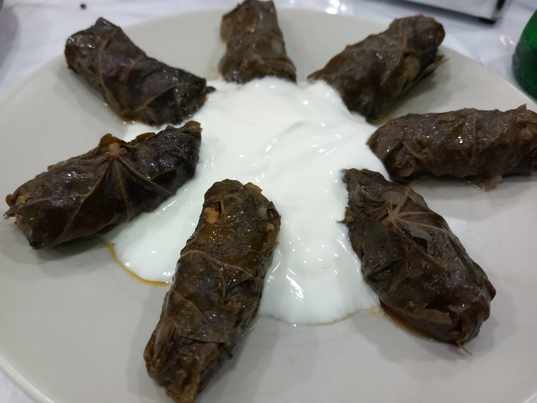 Dolma, hojas de parra rellenas de carne