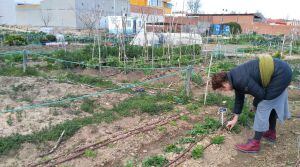 Letcia Rodríguez de la Fuente en su huerta de futuras flores en San Martín de la Vega