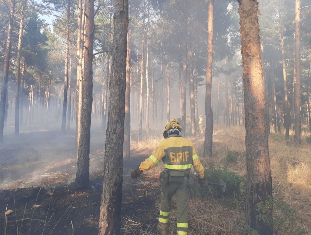 Los efectivos de la BRIF de Lubia colaboraron en la extinción del fuego.