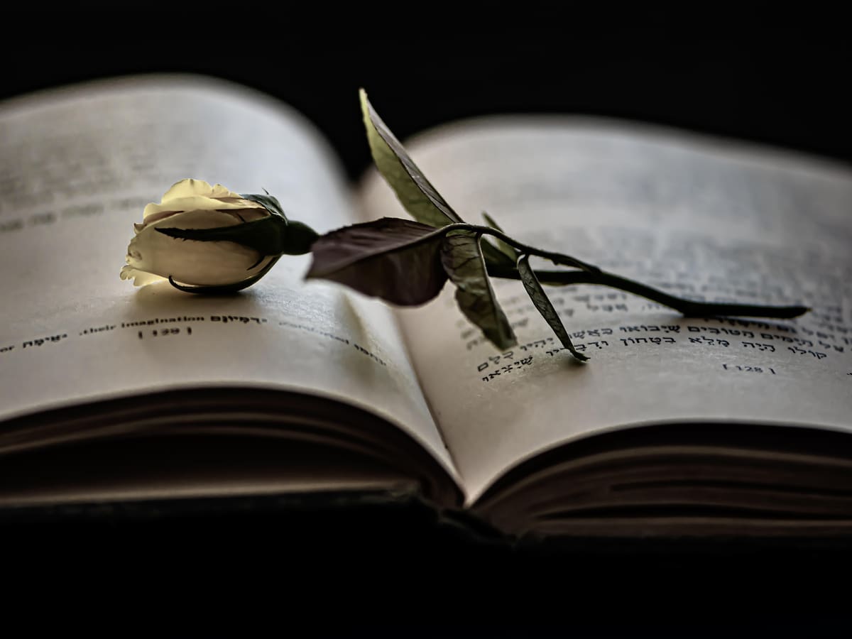 Arriba una nova Taula d'escriptors de Ràdio Menorca