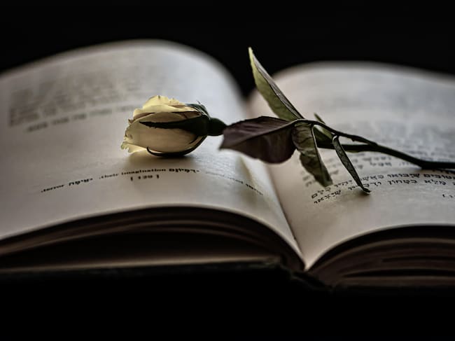 Símbols a la celebració del Dia del llibre per Sant Jordi