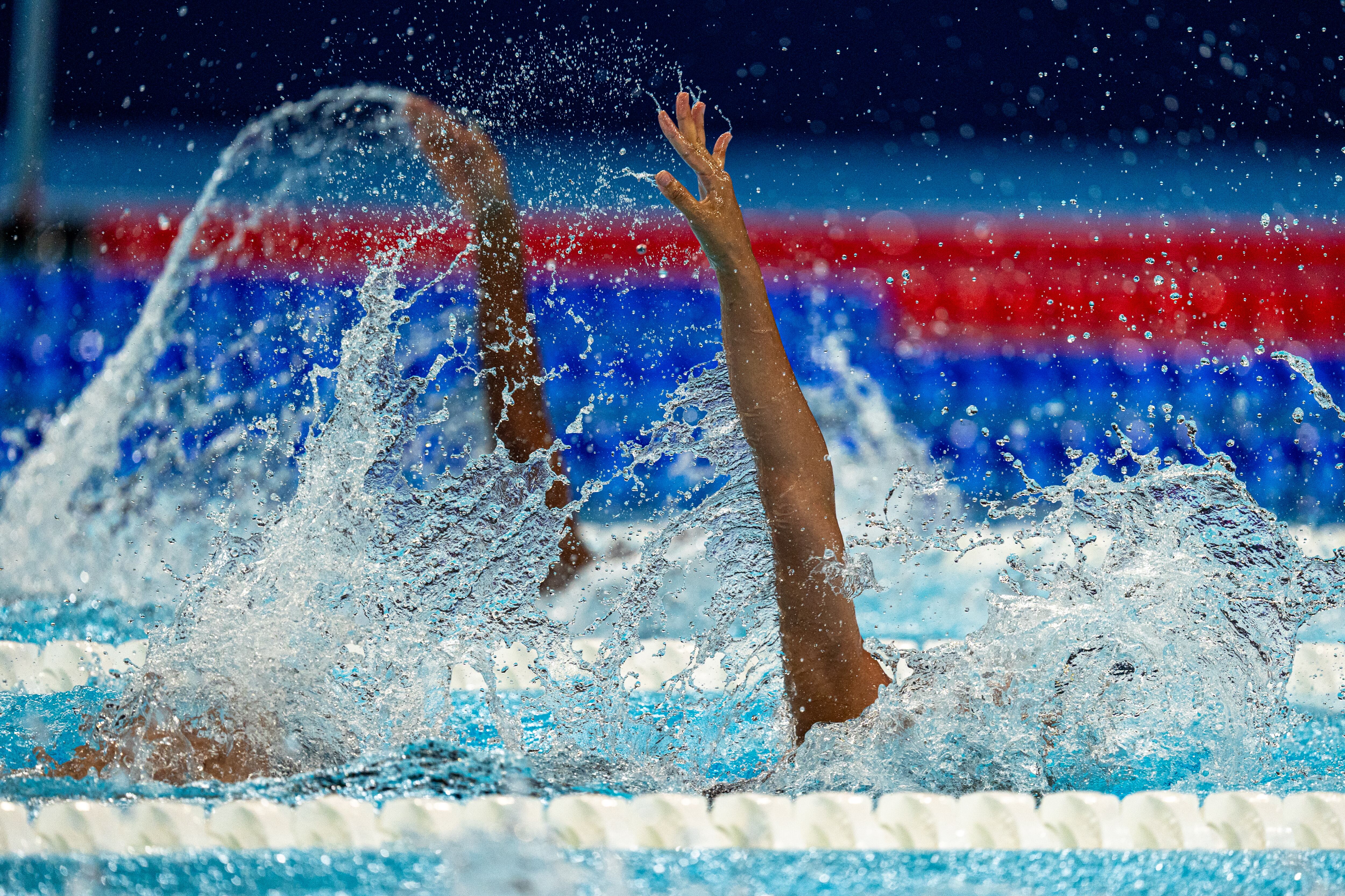 Imagen de archivo de las pruebas de natación en los Juegos Olímpicos París 2024
