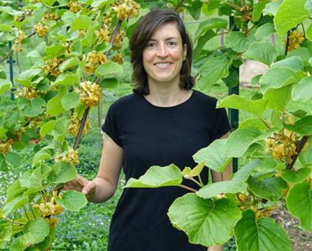 Cristina Secades junto a sus plantaciones de kiwis.