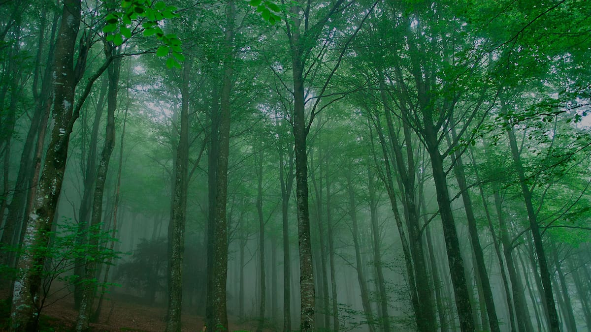 “Gipuzkoa da un paso decisivo frente al cambio climático con el primer plan de adaptación de Euskadi”