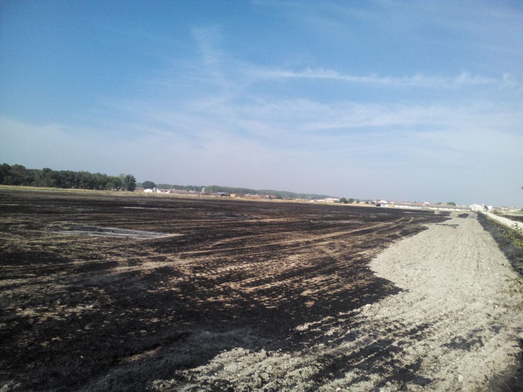 Restos del fuego en un incendio producido en la provincia de Segovia hace un par de años