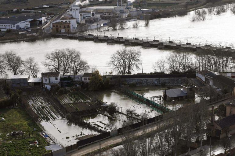 Daños en los cultivos tras la crecida del rio Ebro 
