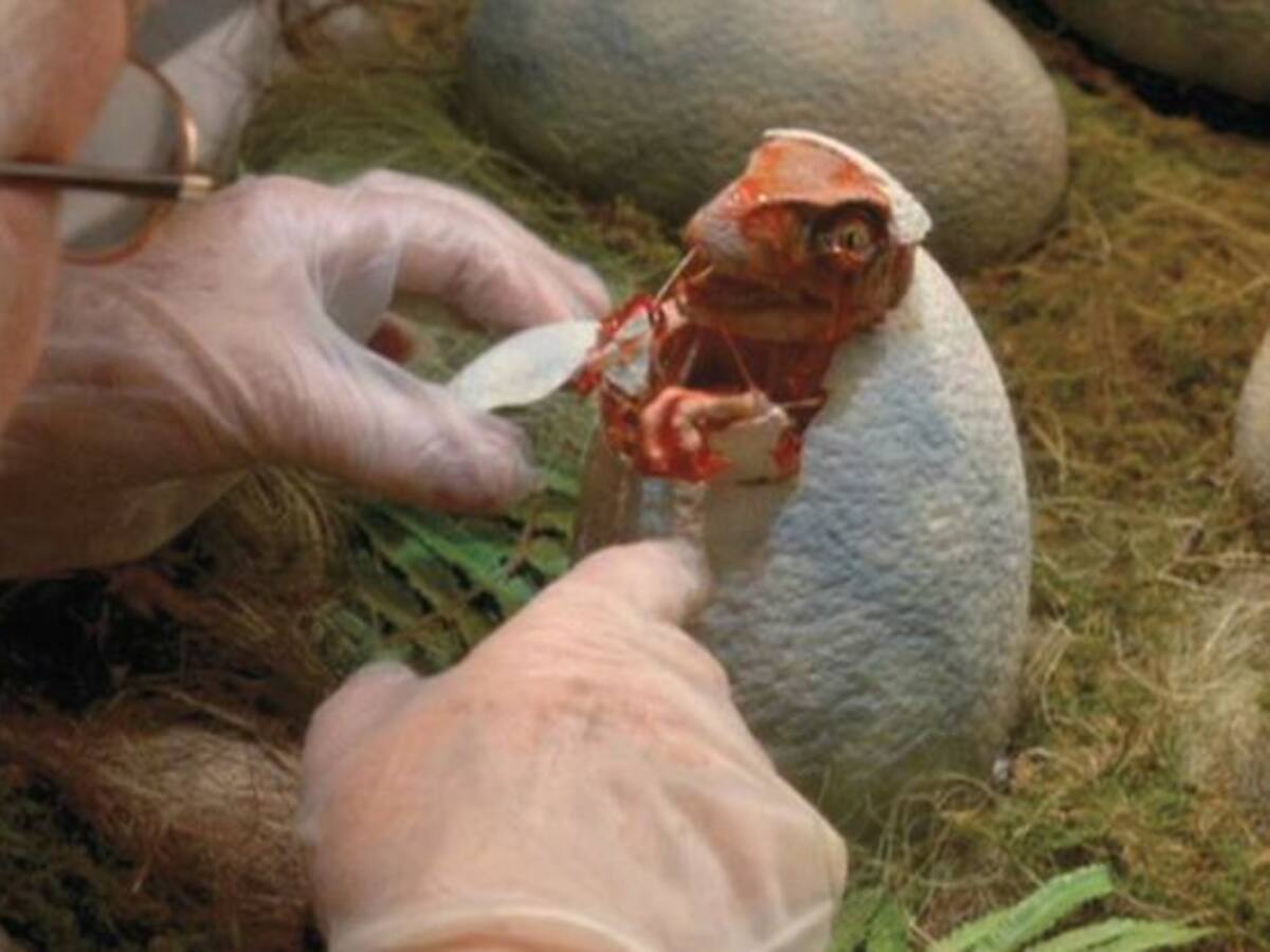 ¿Es posible un Parque Jurásico?