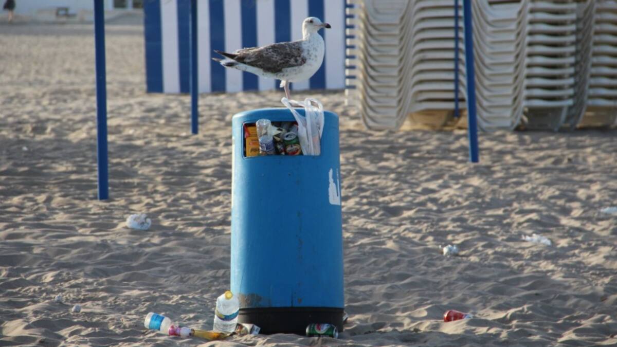 Sistema de retorno no retornable