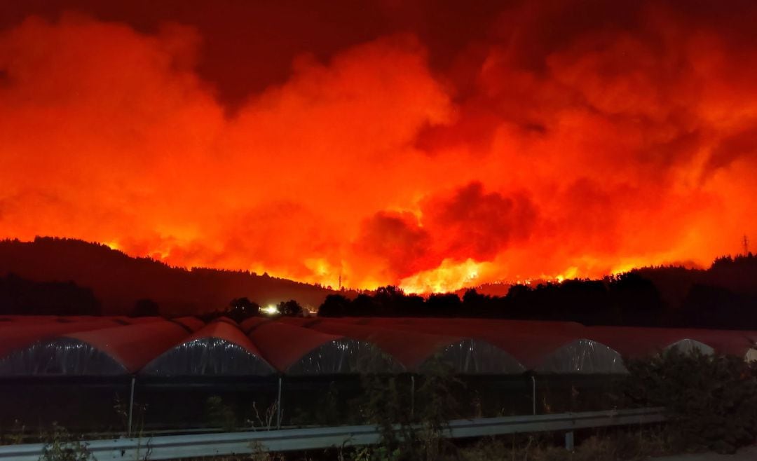 Los incendios de Grecia asolan al país.