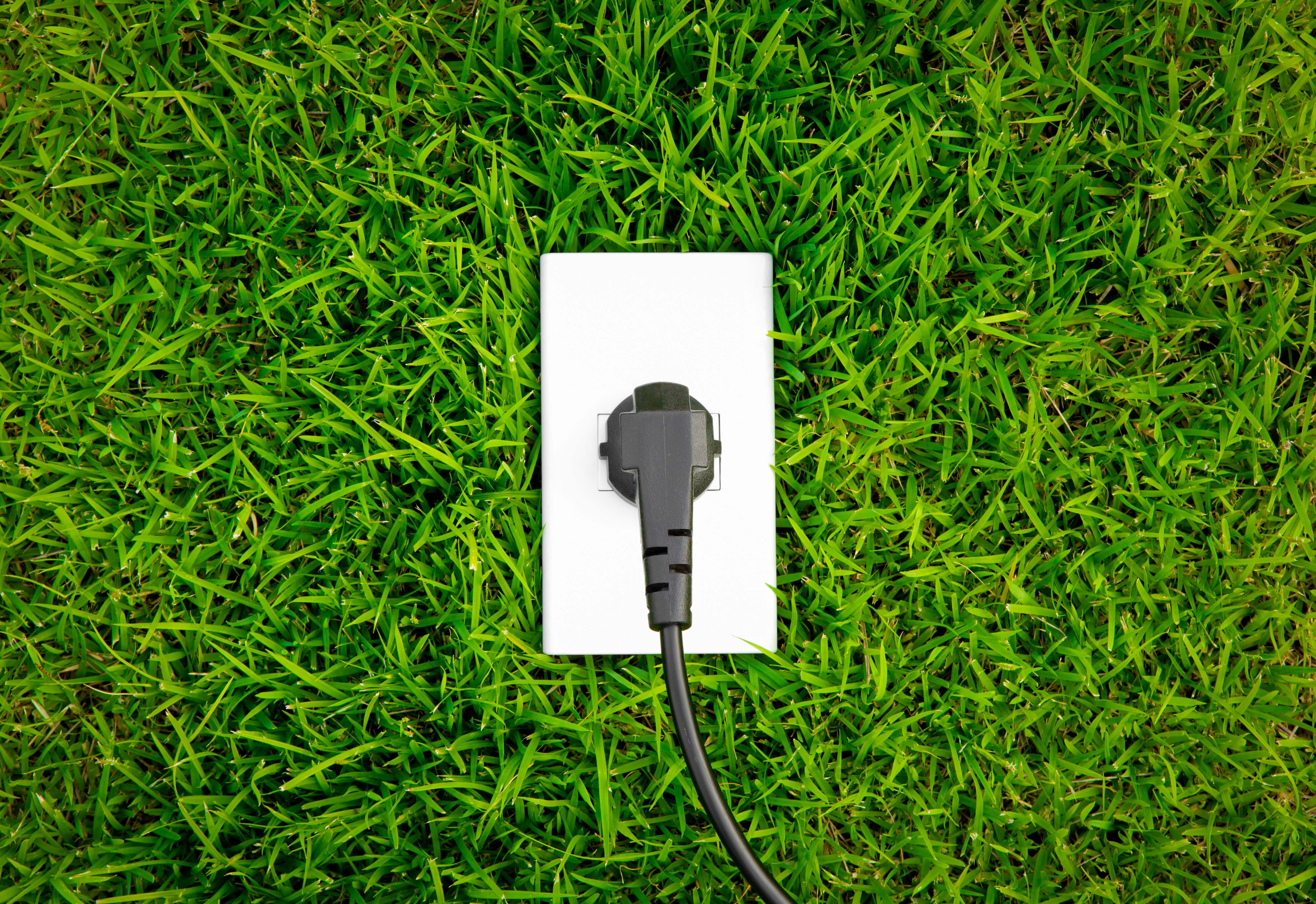 Energy concept outlet in fresh spring green grass