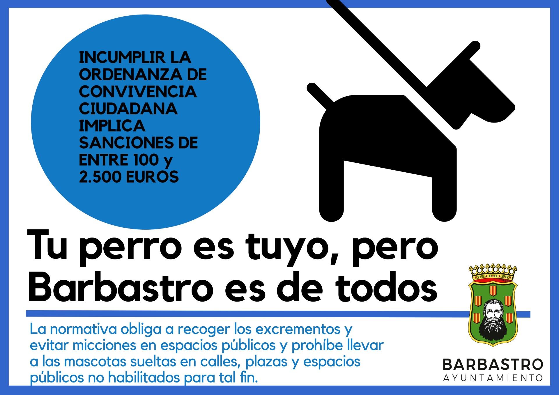 Barbastro micciones perros