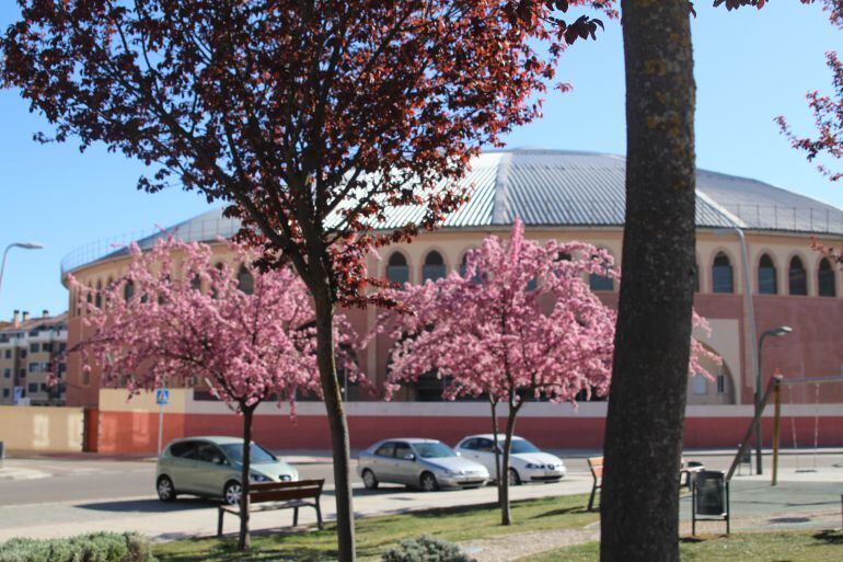 Plaza de Toros de Aranda de Duero
