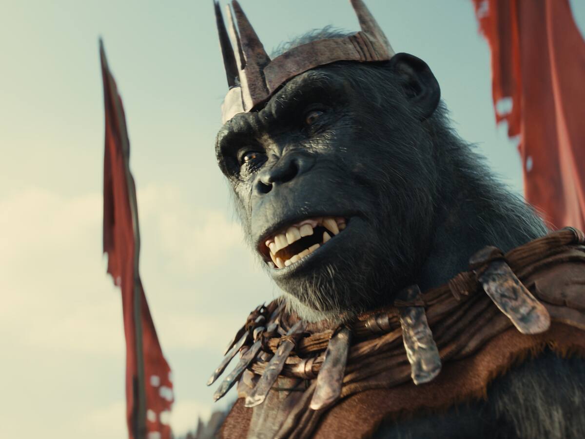 'Hasta el fin del mundo' y 'Nina', las mujeres toman el western