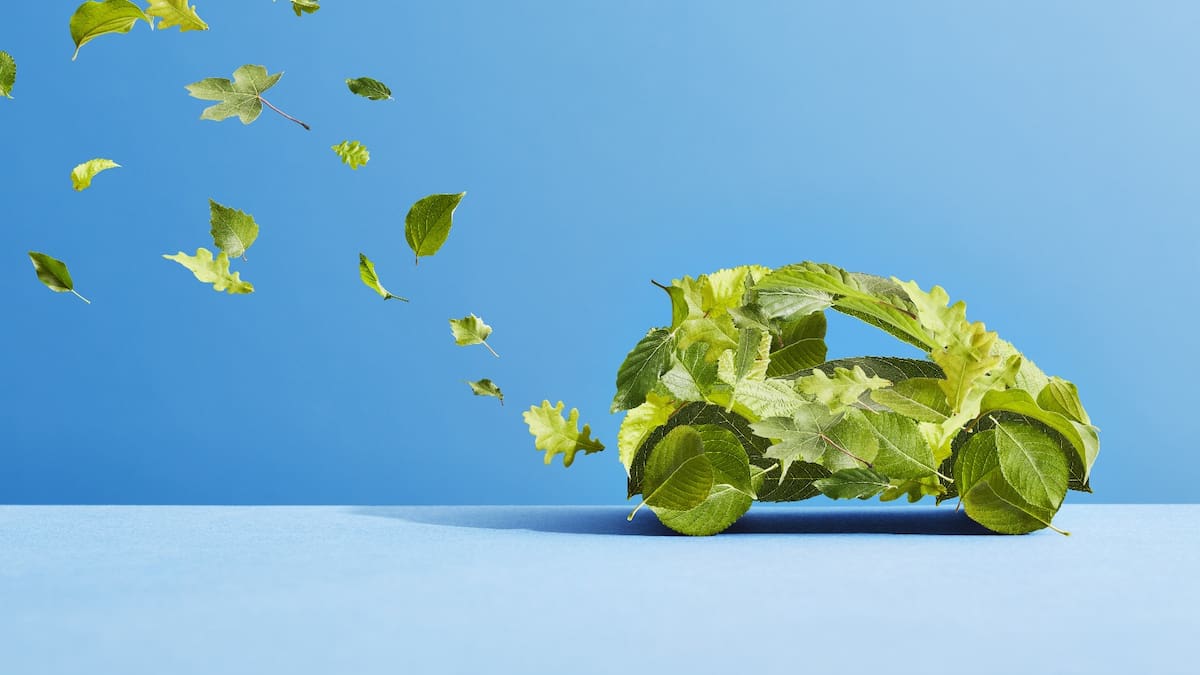 Se amplía la OTA y entra en vigor la primera fase de la Zona de bajas Emisiones . Vitoria : qué cambios y dónde