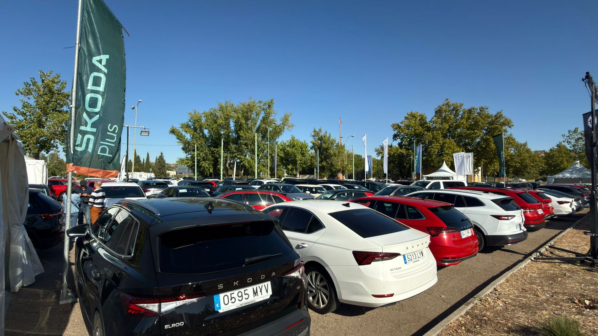 Feria del vehículo de ocasión en la Peraleda