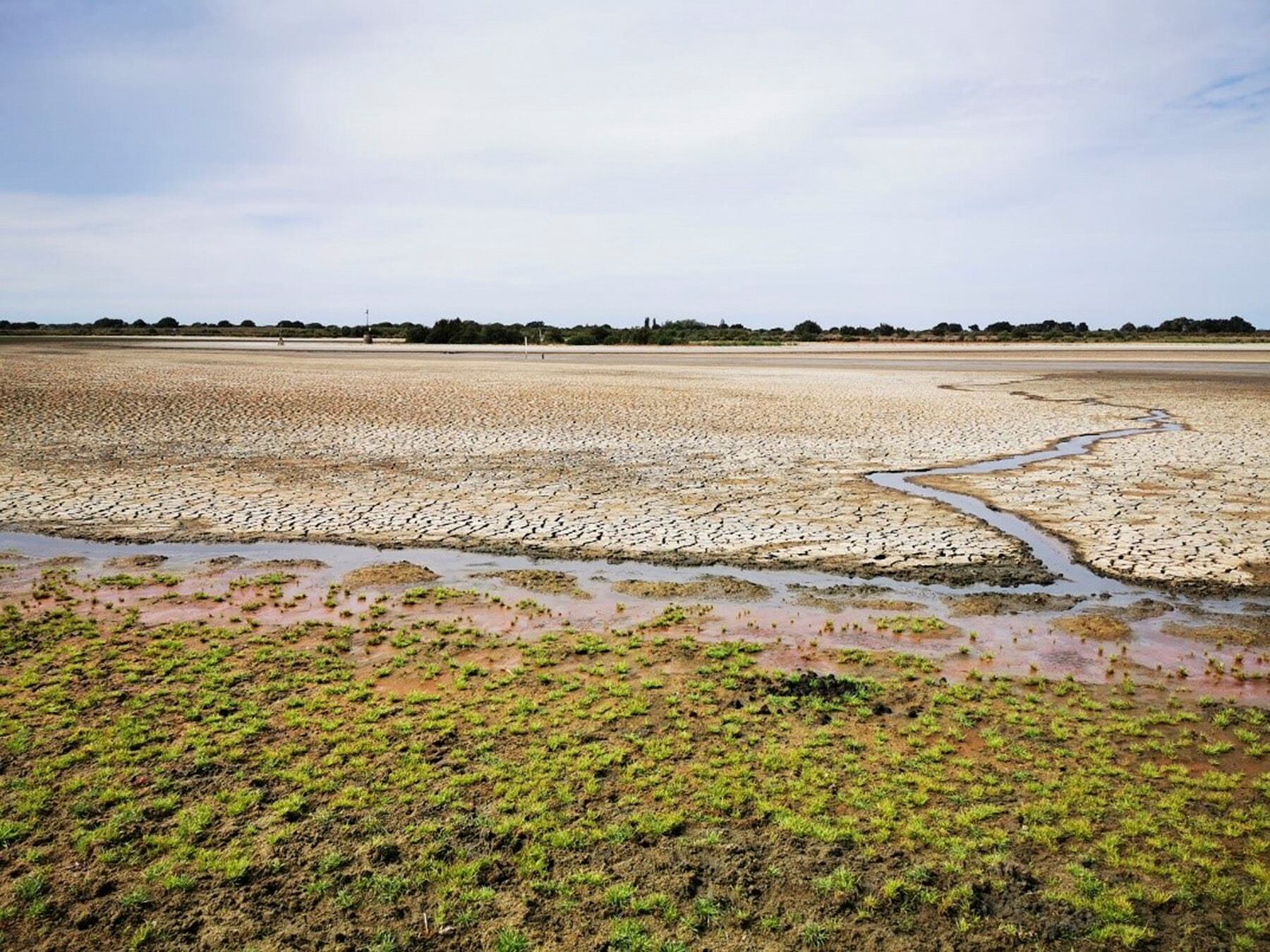 HUELVA, 03/09/2022.- La laguna de Santa Olalla, la laguna permanente más grande de Doñana y la última que ha mantenido agua en agosto, ha terminado por secarse completamente, lo que se ha debido a un periodo de sequía intenso y la sobreexplotación del acuífero por el complejo turístico onubense de Matalascañas, lo que ha agravado la situación en Doñana. EFE/Banco de imágenes de la EBD/CSIC  - SOLO USO EDITORIAL/SOLO DISPONIBLE PARA ILUSTRAR LA NOTICIA QUE ACOMPAÑA (CRÉDITO OBLIGATORIO) -
