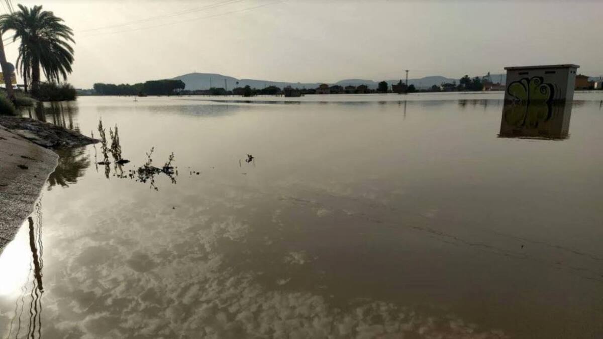 Eduardo Rojas, Decano del Colegio de Ingenieros de Montes (16/09/2019)
