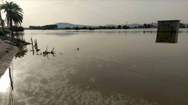 Eduardo Rojas, Decano del Colegio de Ingenieros de Montes (16/09/2019)