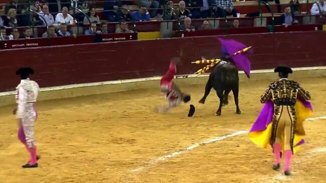 Momento de la cogida de Rafael Limón