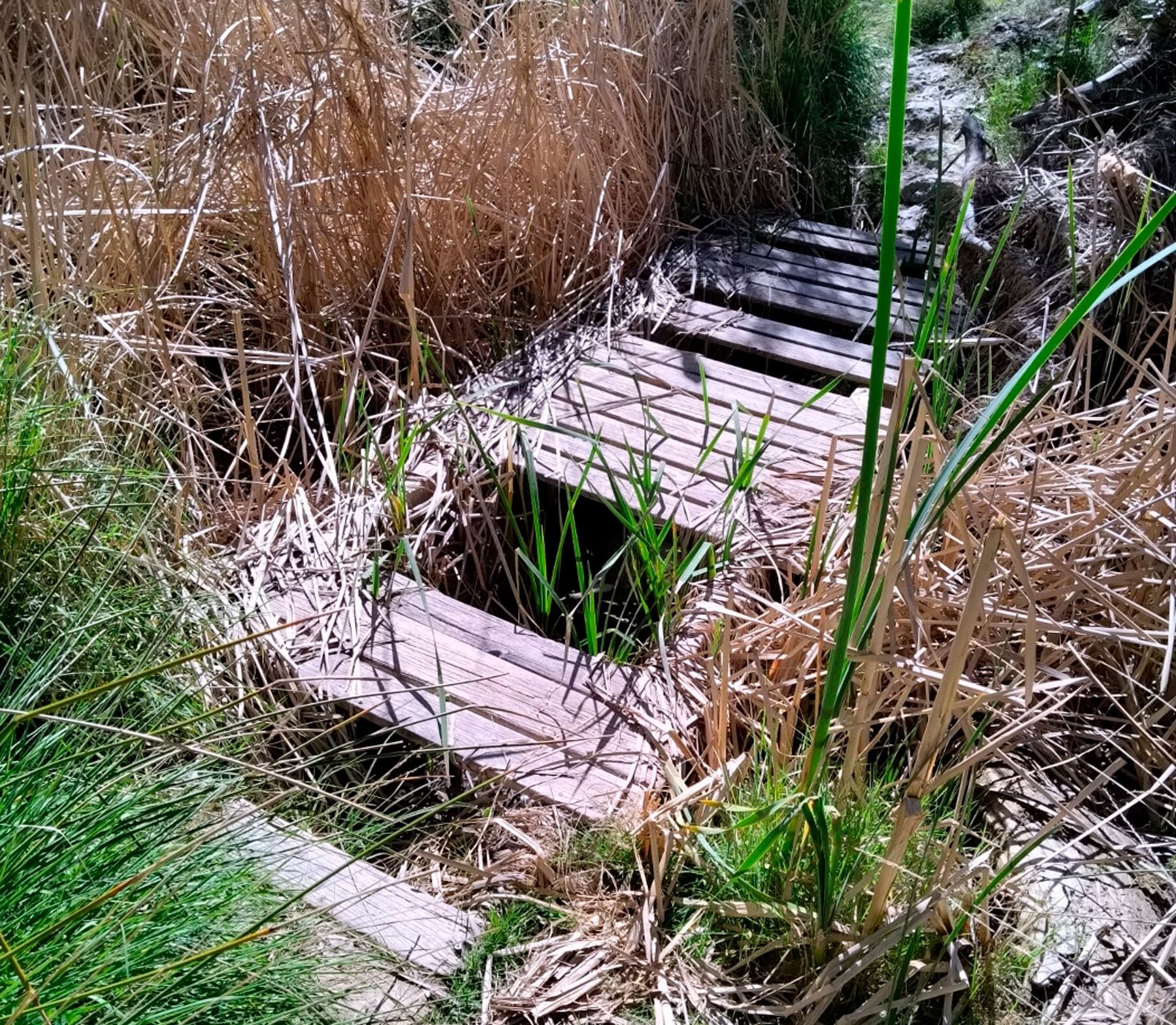 Imagen de una de las pasarelas de madera deterioradas que se cambiará