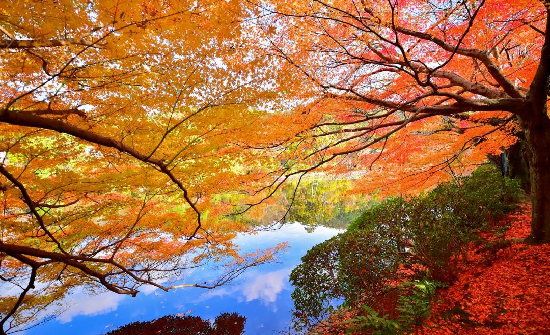 El verano da paso al otoño.