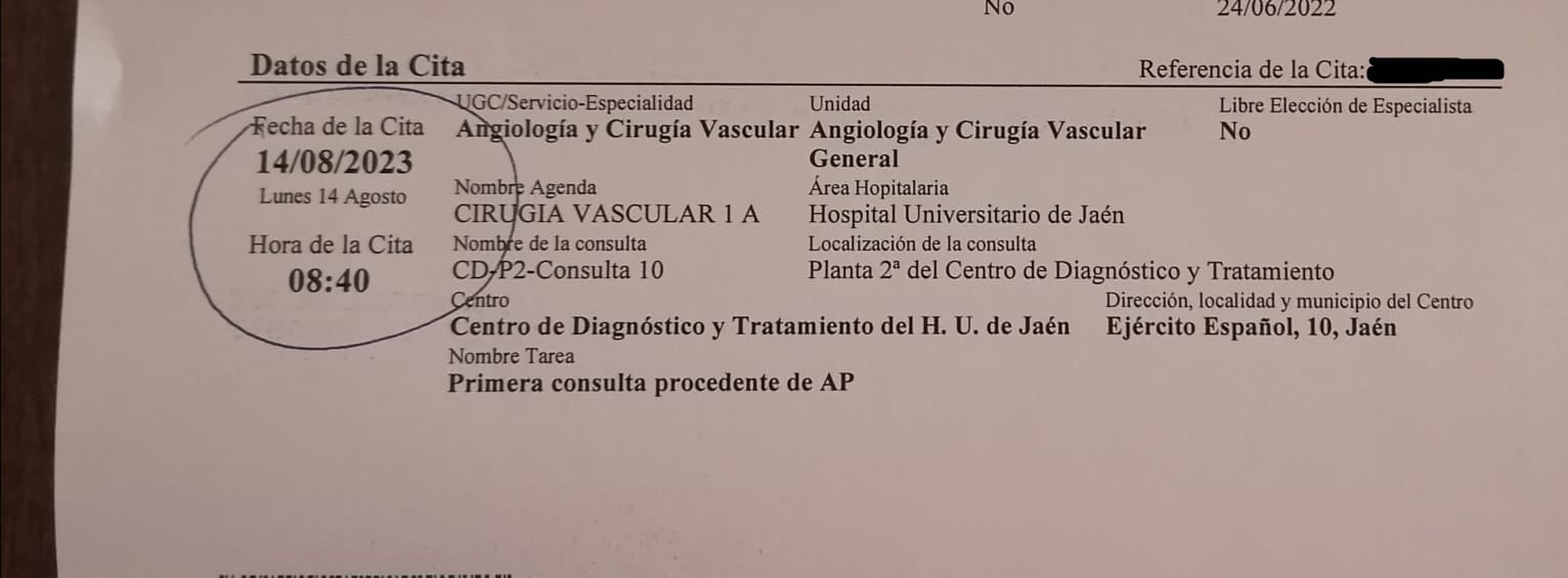 Resguardo de la cita en Cirugía Vascular en el que se indica que la cita será en 2023.